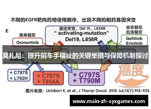 莫扎尼：提升前车手福祉的关键举措与保障机制探讨