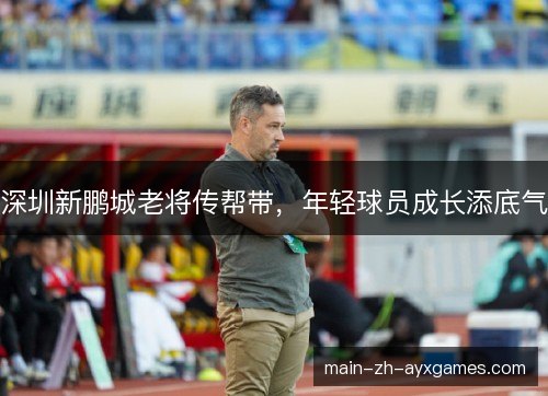 深圳新鹏城老将传帮带，年轻球员成长添底气